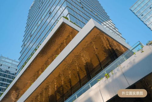 白樺林fic 售樓處 ▁品牌開發(fā)商▁全能soho▁產品介紹▁樓盤地址