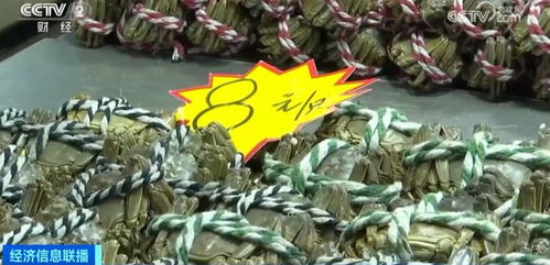 金華正大量上市，價格大跳水！水產品批發需注意這些問題