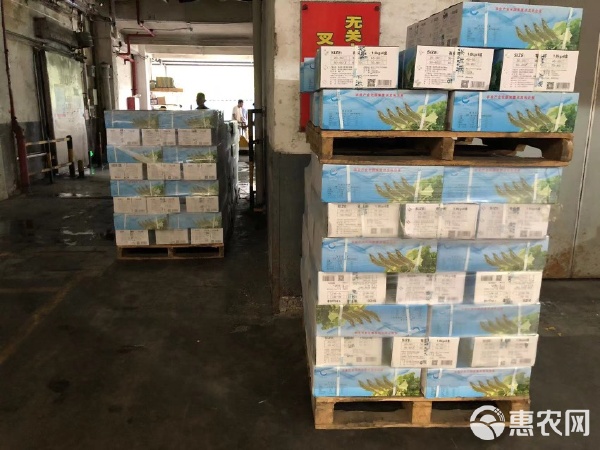 港洋南美白蝦 從深海到餐桌的品質之旅