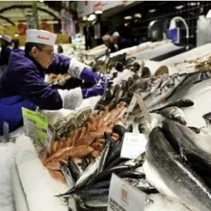 全國主要水產品批發市場報價動態與日用百貨銷售渠道淺析